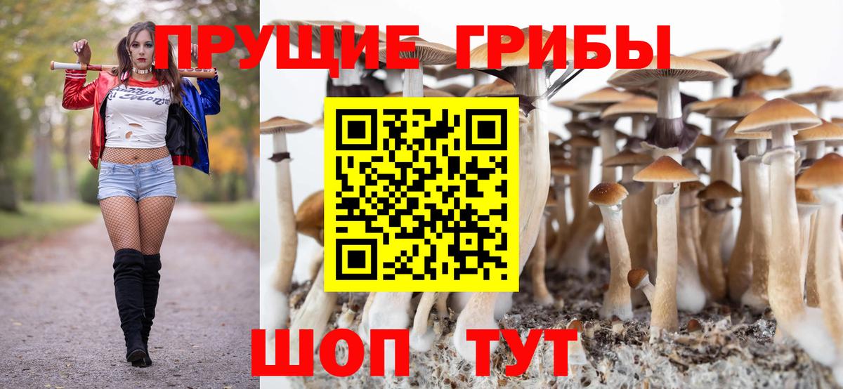 Галлюциногенные грибы мухоморы Шебекино